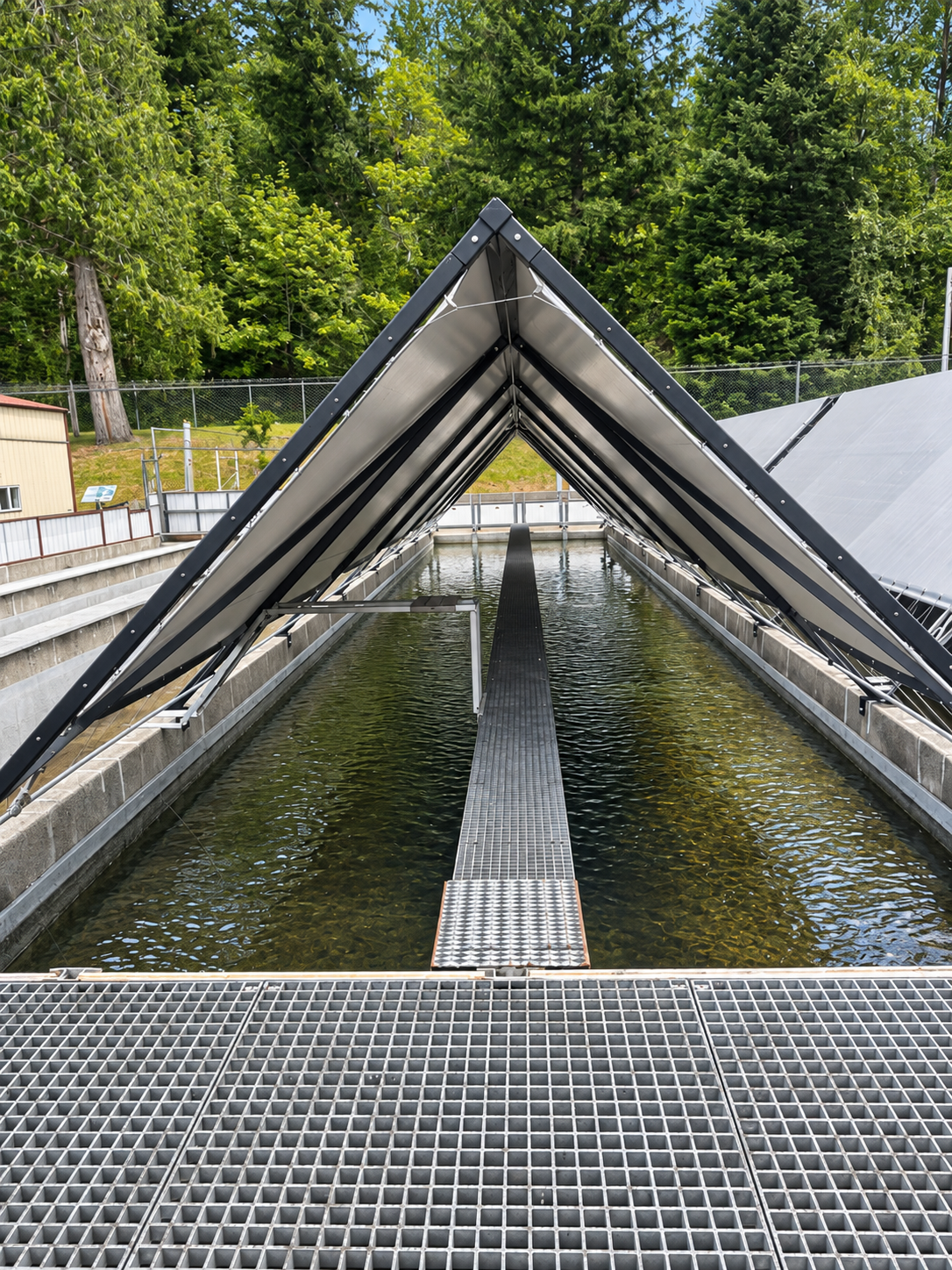 Steel-framed protective cover over an aquaculture raceway