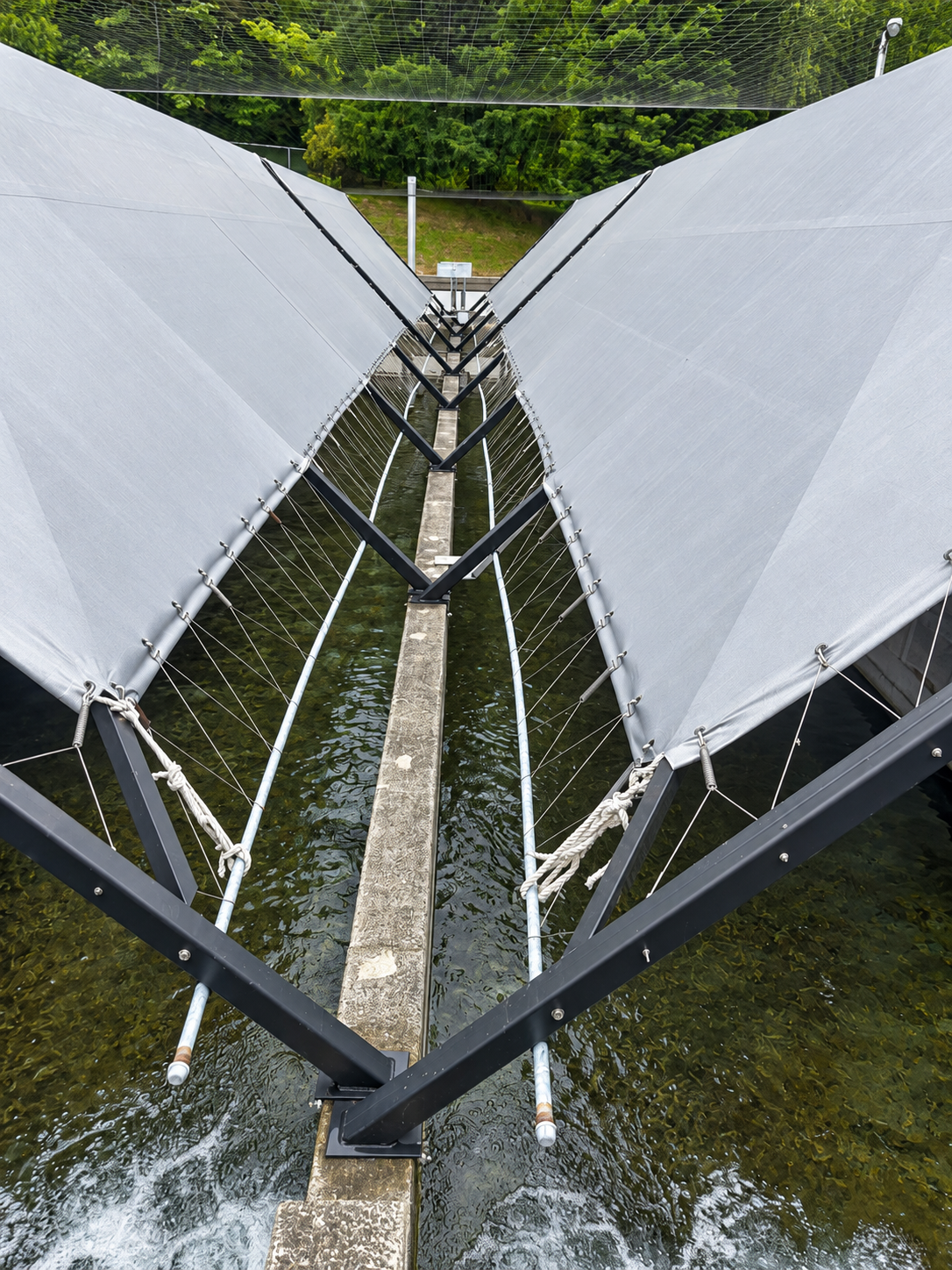 Custom steel and fabric shade structures spanning hatchery raceways