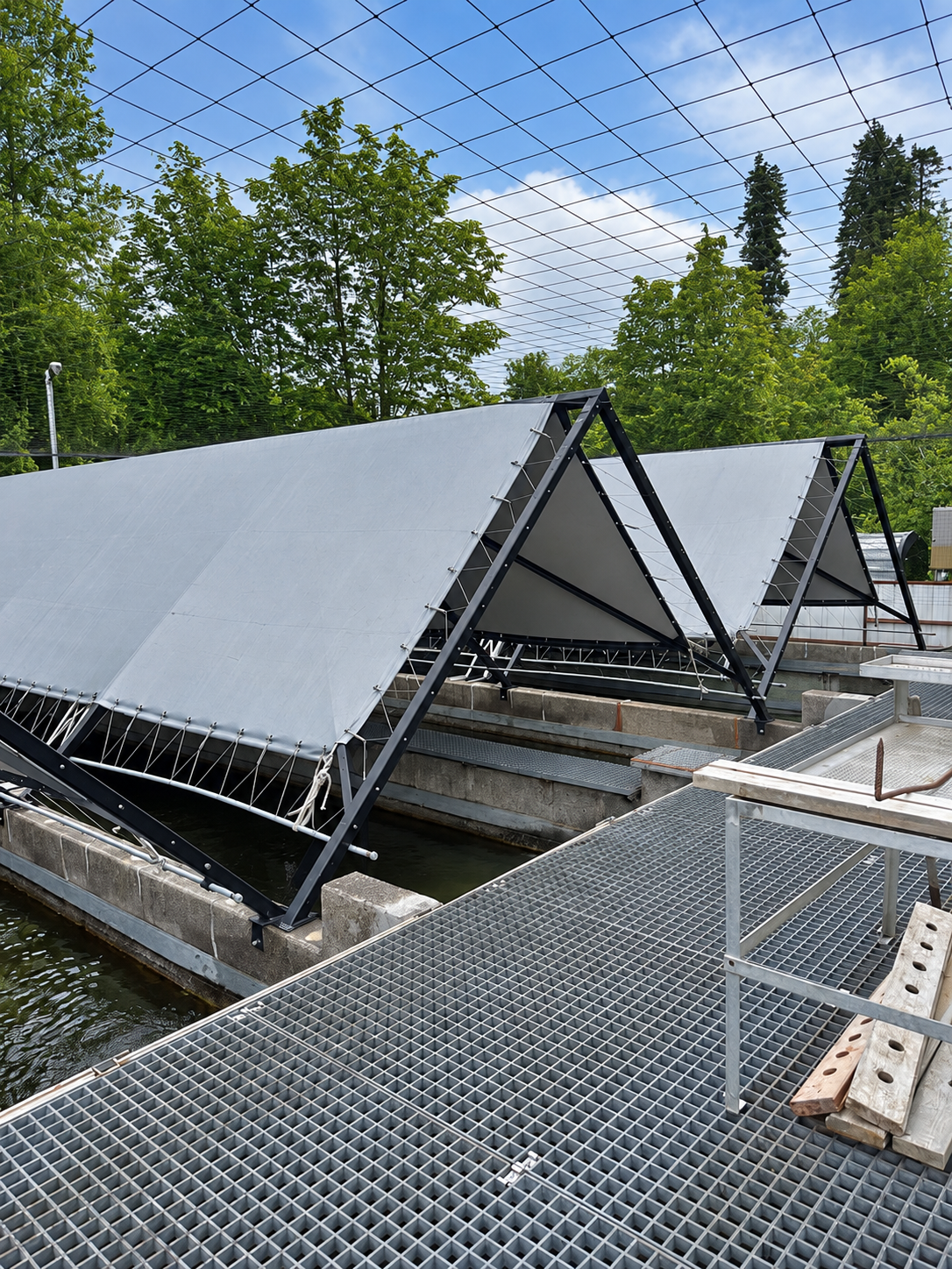 Multiple protective structures and grated walkways at an aquaculture facility