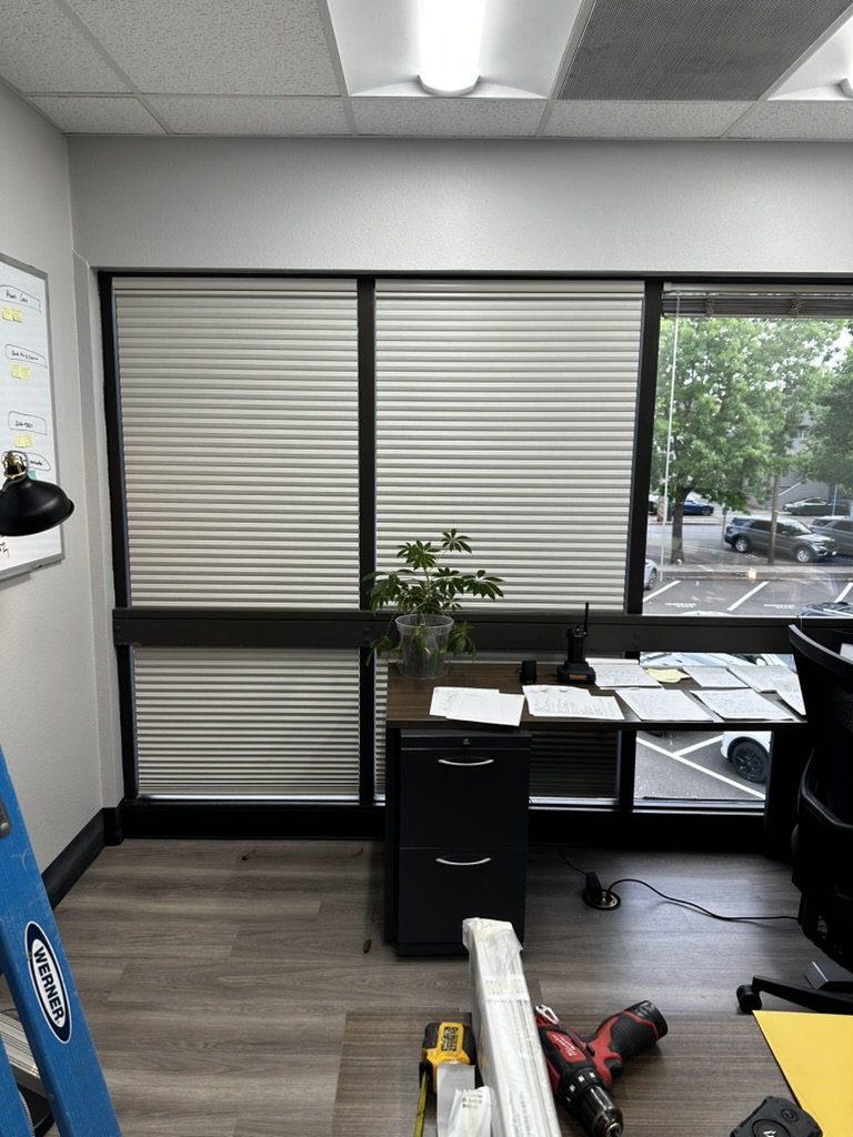 Black-framed commercial office windows fitted with light-filtering shades